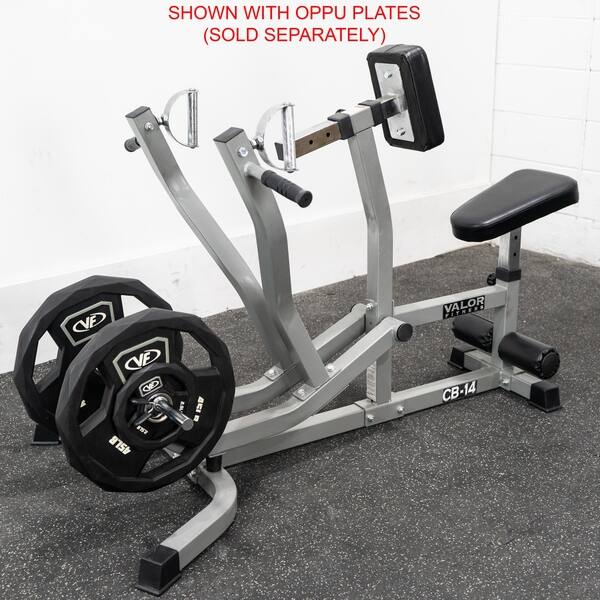 Back Exercise Equipment Plate Loaded Seated With Independent Arms ...