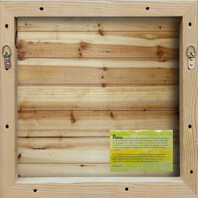 Parvez Taj 'Killaloe' Painting Print on Natural Pine Wood