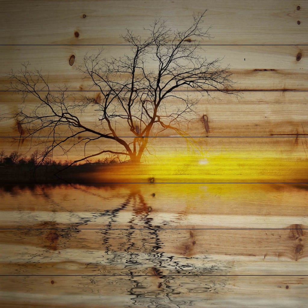 Parvez Taj 'Killaloe' Painting Print on Natural Pine Wood