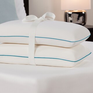 Top Product Reviews For Comfort Revolution Molded Memory Foam