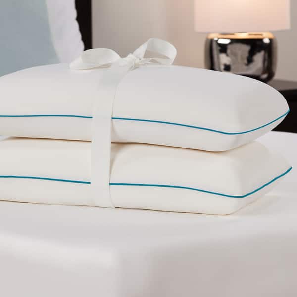 Shop Comfort Revolution Molded Memory Foam Pillow Set Of 2 On