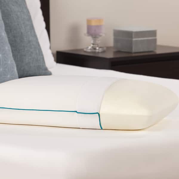 Shop Comfort Revolution Molded Memory Foam Pillow Set Of 2 On