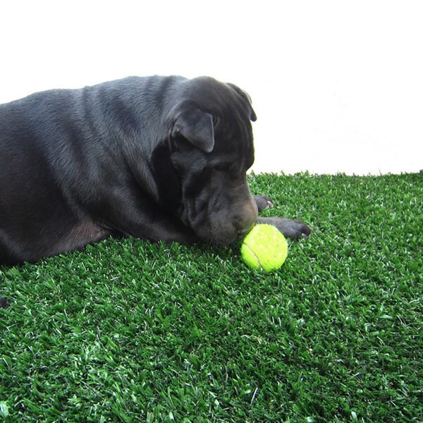 turf mat for dogs
