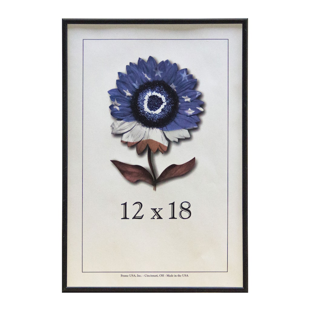 Metal II Picture Frame (12-inches x 18-inches) - 12 X 18