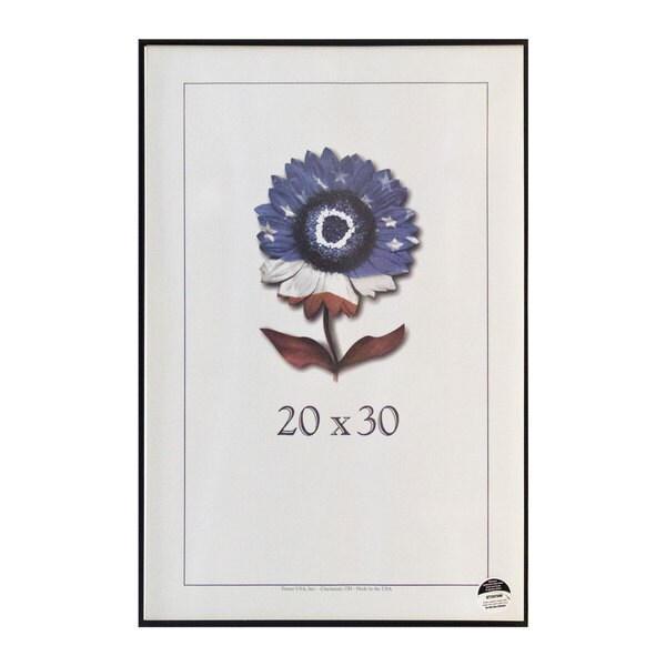 Metal II Picture Frame (20-inches x 30-inches)
