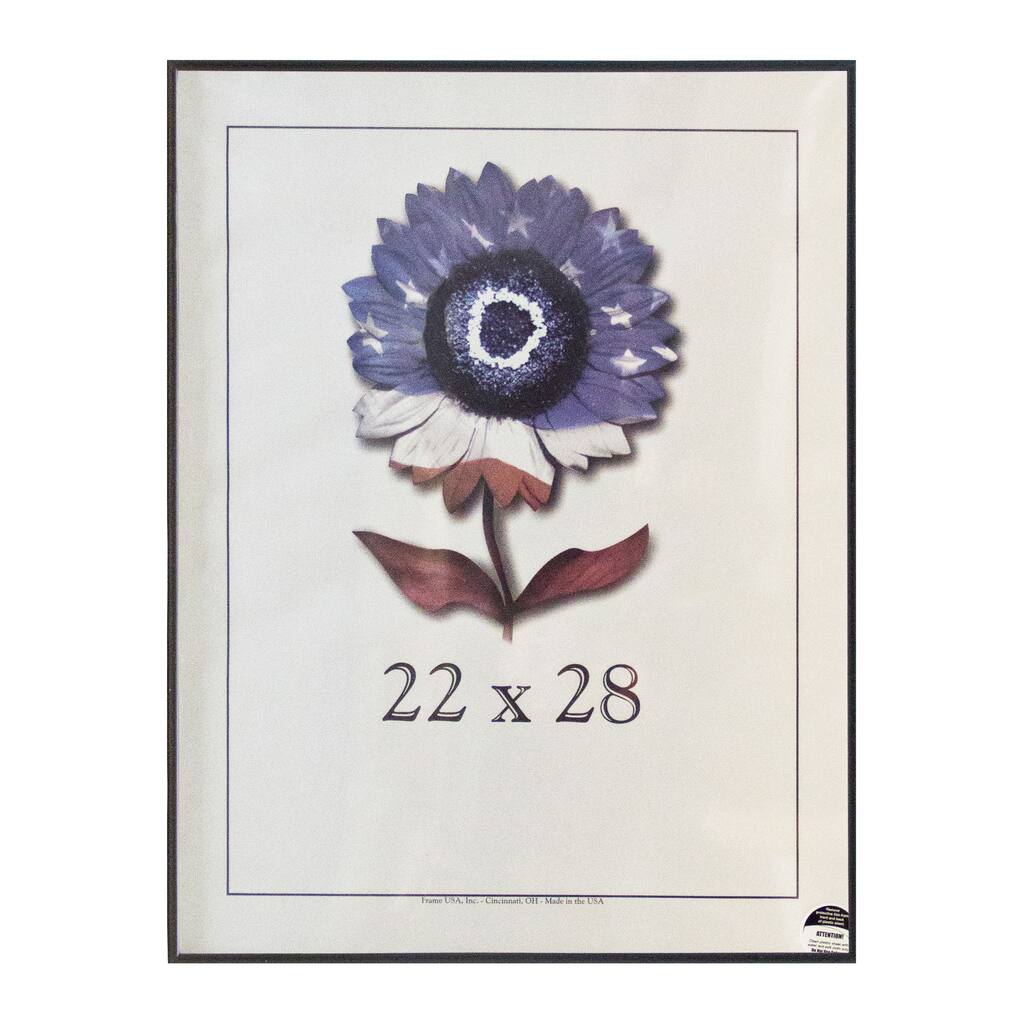 Metal II Picture Frame (22-inches x 28-inches)