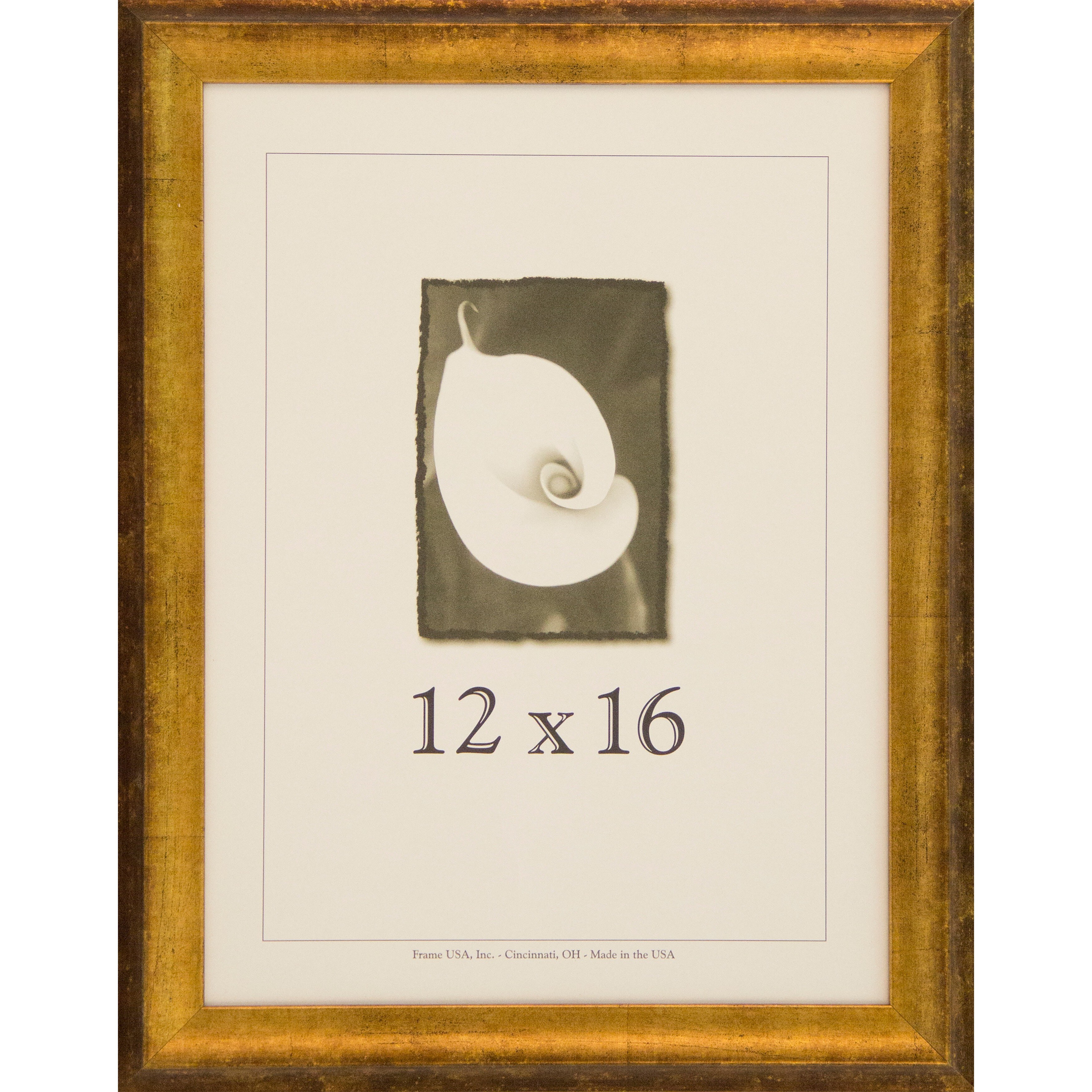 Verona Narrow 12 Inch X 16 Inch Picture Frame Overstock