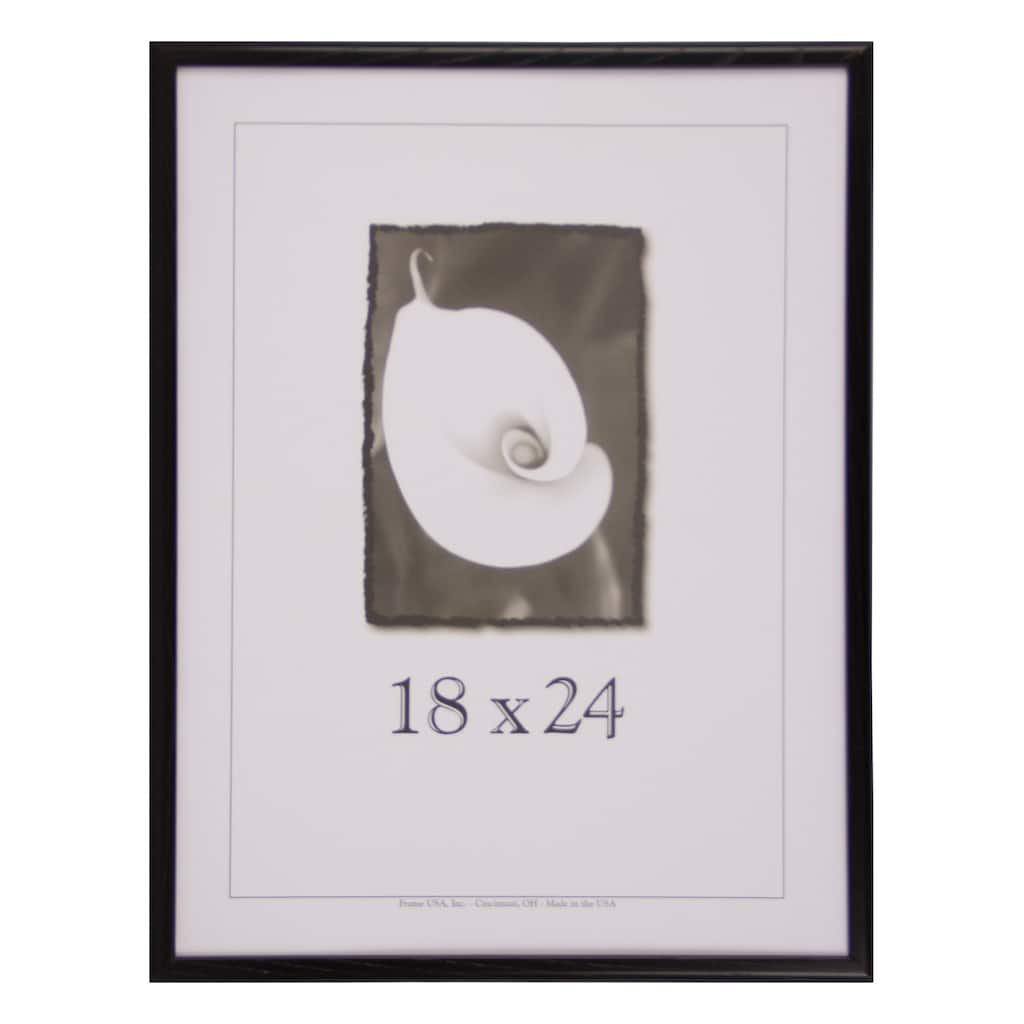 Economy 18-inch x 24-inch Picture Frame