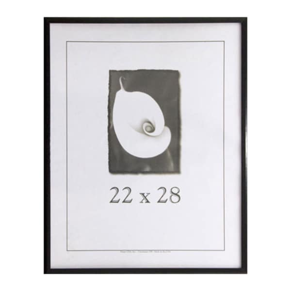 Economy 22inch x 28inch Picture Frame Free Shipping On Orders Over