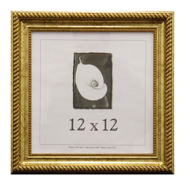 Shop Napoleon Picture Frame (12 x 12-inch Image Size ...