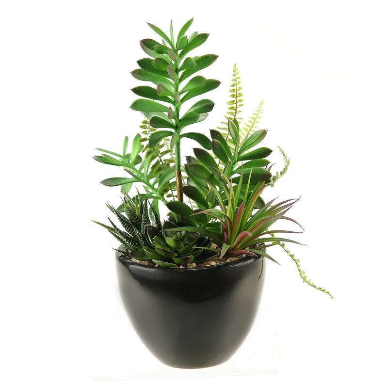 D&W Silks Succulent, Aloe and Echeveria in Round Ceramic Planter - Mixed