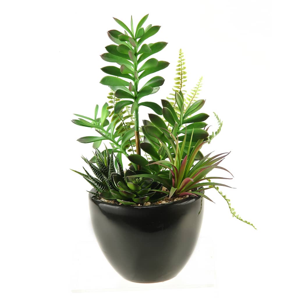 D&W Silks Succulent, Aloe and Echeveria in Round Ceramic Planter - Mixed