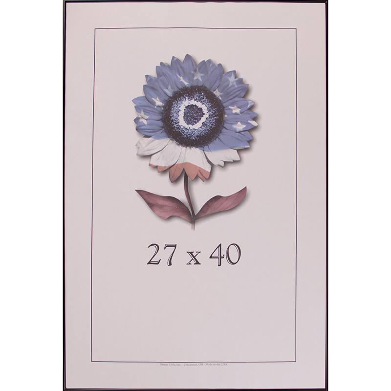 Metal II Picture Frame 27x40