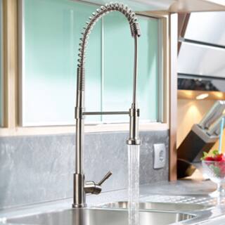 Shop Geyser Stainless Steel Pull Down Commercial Style Coiled