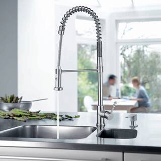 Shop Geyser Stainless Steel Pull Down Commercial Style Coiled