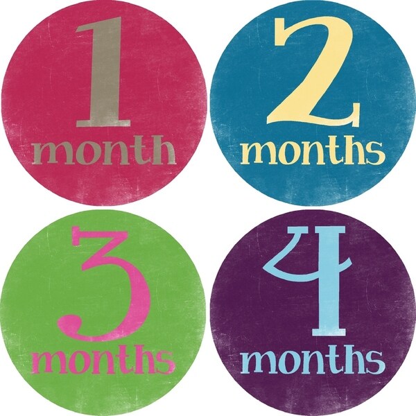 Rocket Bug Girls' Escapade Monthly Baby Bodysuit Stickers