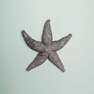 Allan Andrews Deep Pewter Coastal Starfish Wall Art (Small)