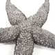 preview thumbnail 6 of 5, Allan Andrews Deep Pewter Coastal Starfish Wall Art (Large)