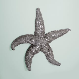 Allan Andrews Deep Pewter Coastal Starfish Wall Art (Large)