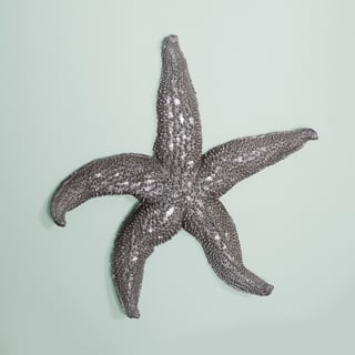 Allan Andrews Deep Pewter Coastal Starfish Wall Art (Large)