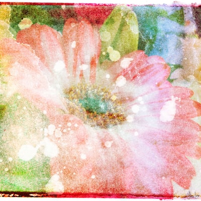 Marmont Hill Art Collective 'Flower Fairytale' Canvas Art - Multi-Color