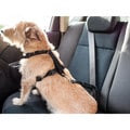Furhaven Comfort Pet Harness with Seat Belt Attachment