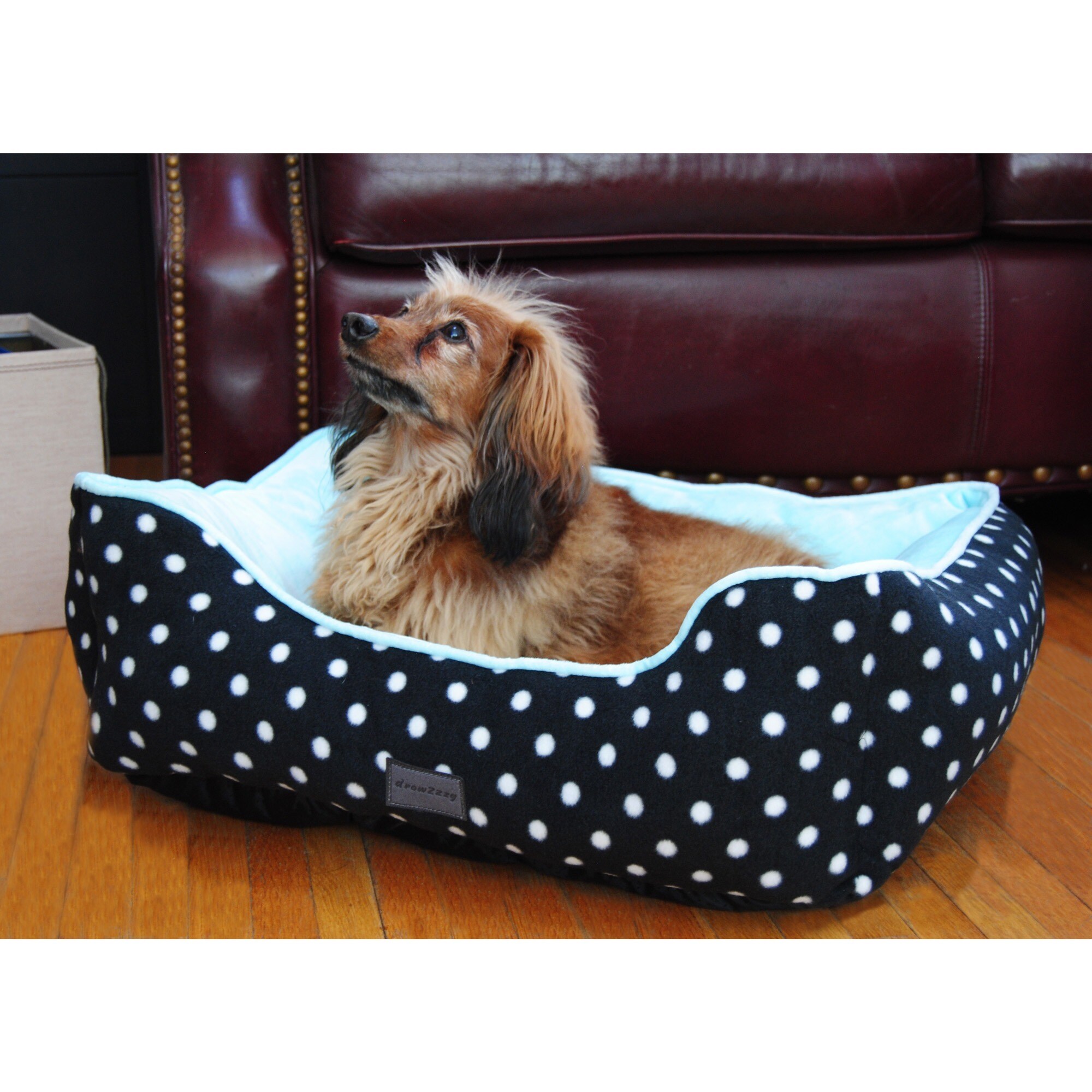 polka dot dog bed