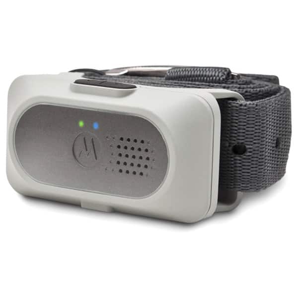 Motorola Wireless Fence 25 Dog Collar Bed Bath & Beyond 9998576