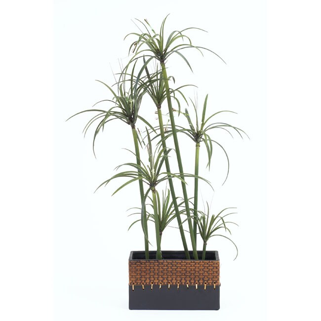 Shop Forever Silk Papyrus Plant Free Shipping On Orders Over 45