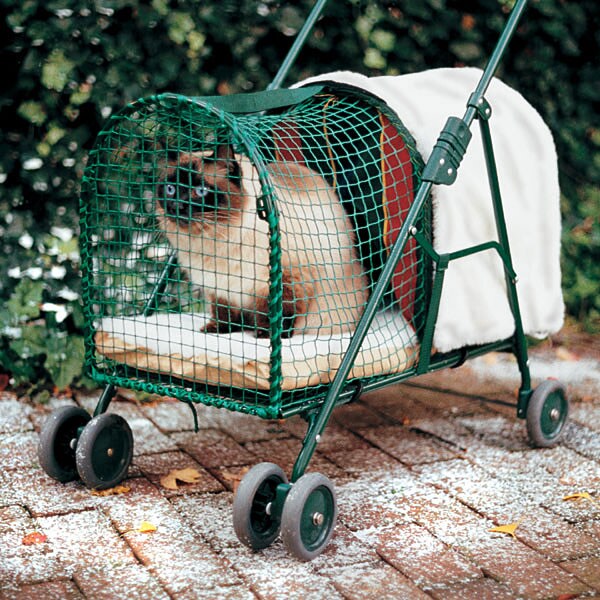 hookworm meds for cats