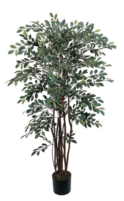 Trees Silk Plants Buy Decorative Accessories Online