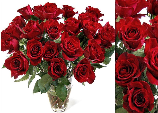 250 Fresh Red Wholesale Roses (18 in. stem length)  