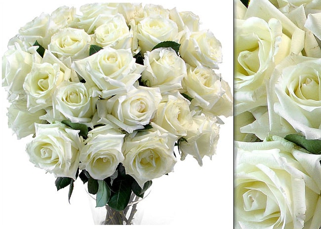 100 White Wholesale Roses (18 in. stem length)  