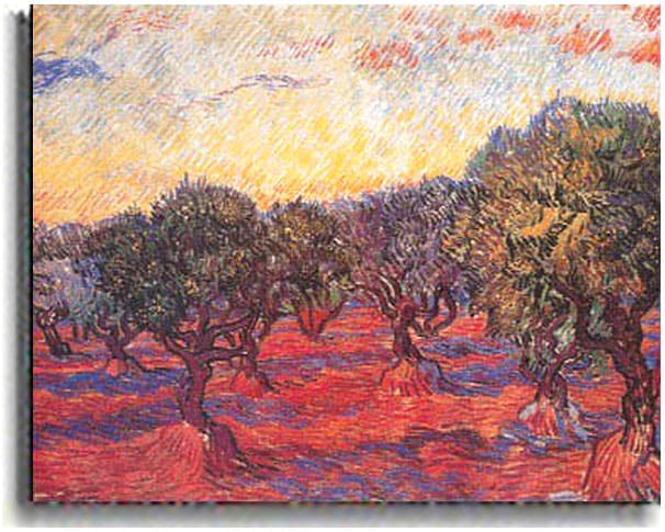 Vincent Van Gogh Olive Grove Stretched Canvas  