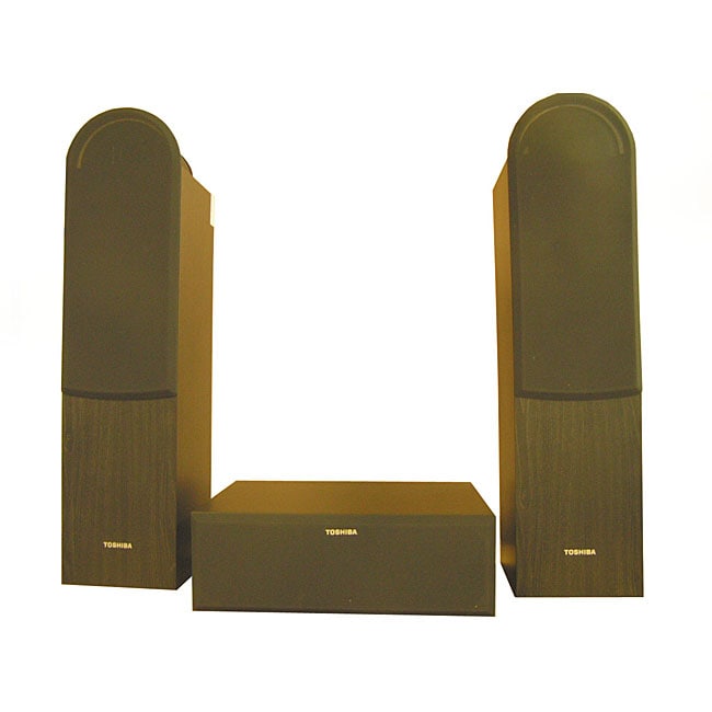 Toshiba SSP100 Speaker System  