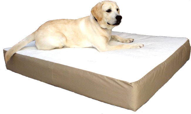 Large 34x48 Orthopedic Double Dog Pet Bed  