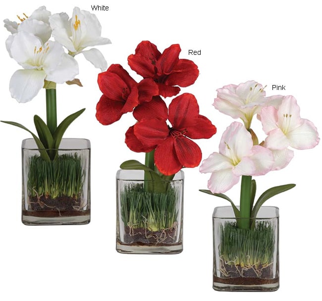 Silk Amaryllis with Glass Vase  