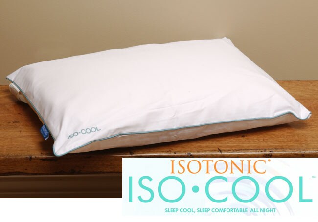 Isotonic Iso-Cool Memory Foam Queen Mattress Topper with Outlast