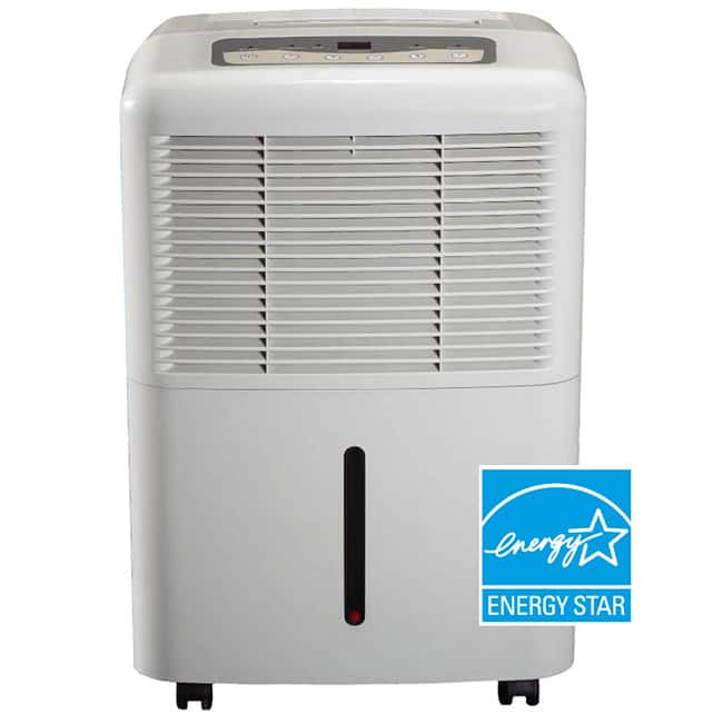 Portable 30-pint Energy Star Dehumidifier