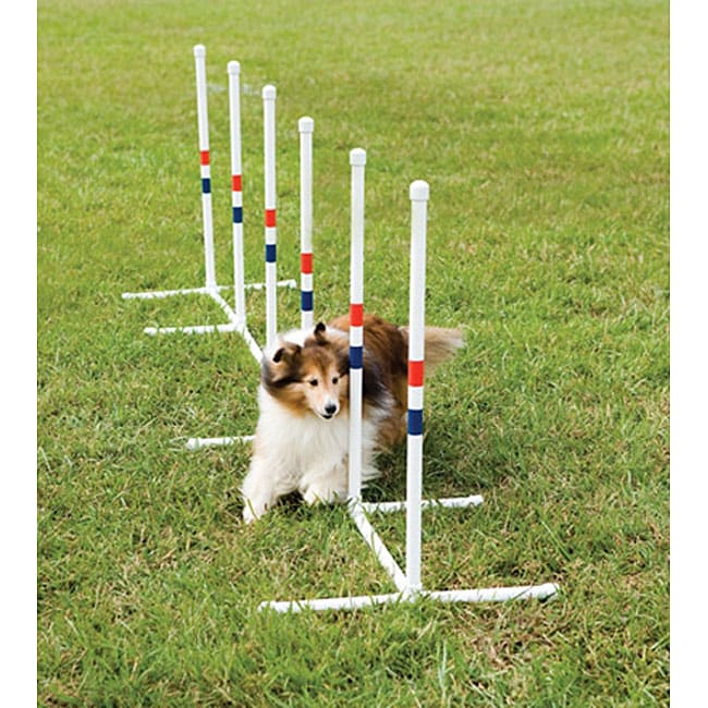 Weave Poles Dog Exercise Set  