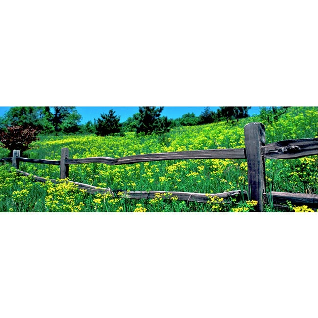 Nathan Lovas Mustard Fence Canvas Art  