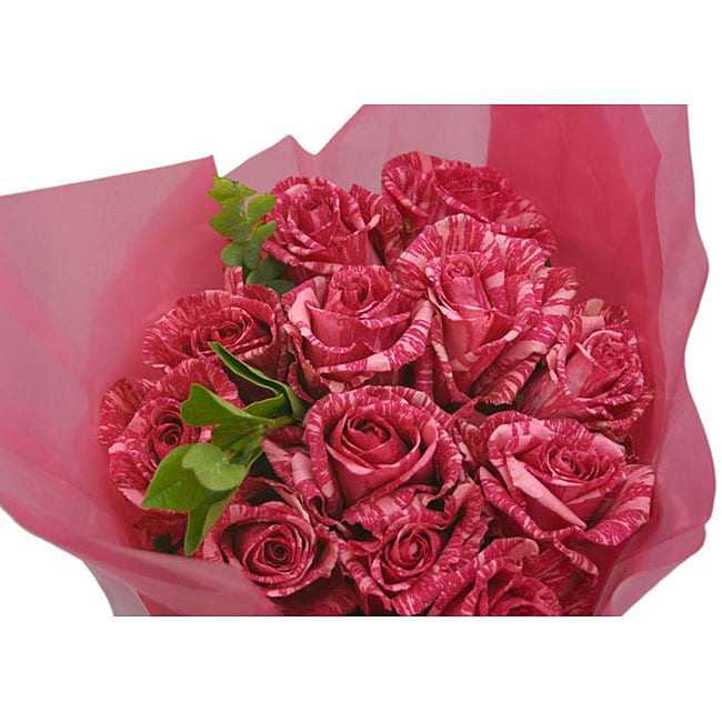 Pink Intuition Roses (72 Stems)  