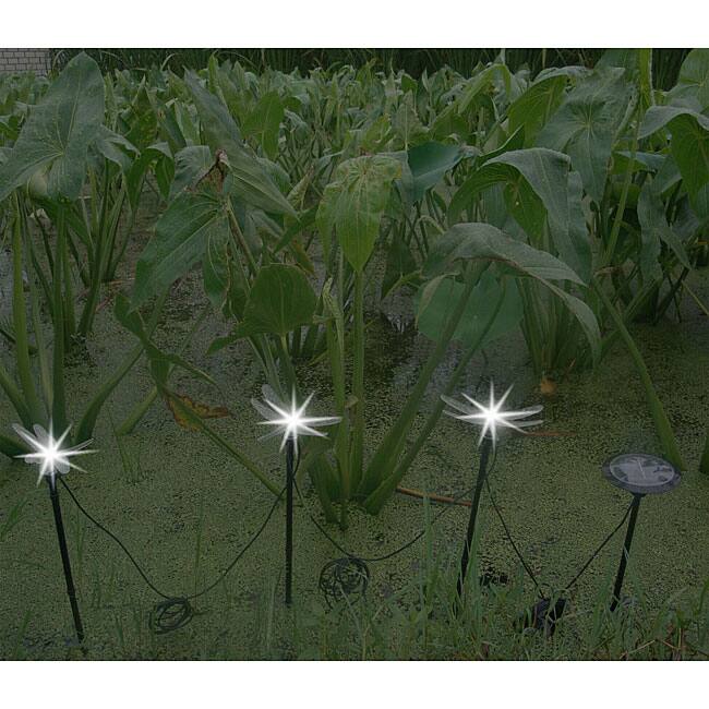 Dragonfly Solar Outdoor Solar Lights - 54 x 96