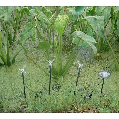 Hummingbird Outdoor Solar Light