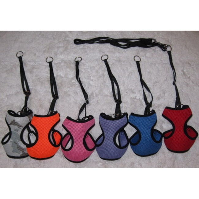 JLT Pets Colorful Cat Harness n Leash Set  