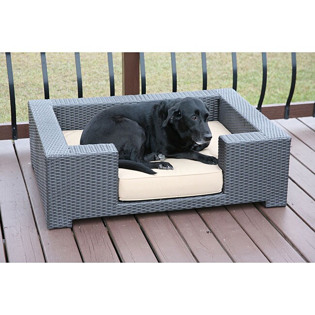 All-weather Cushioned Resin Wicker Dog Bed - Free Shipping Today ...
