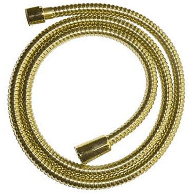 Polished Brass Replacement Hose for Hand-held Shower