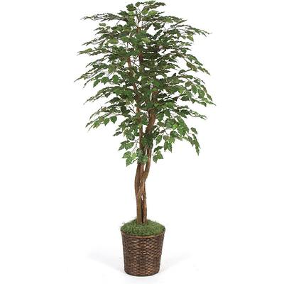 Buy Artificial Plants Online at Overstock | Our Best Decorative ...
