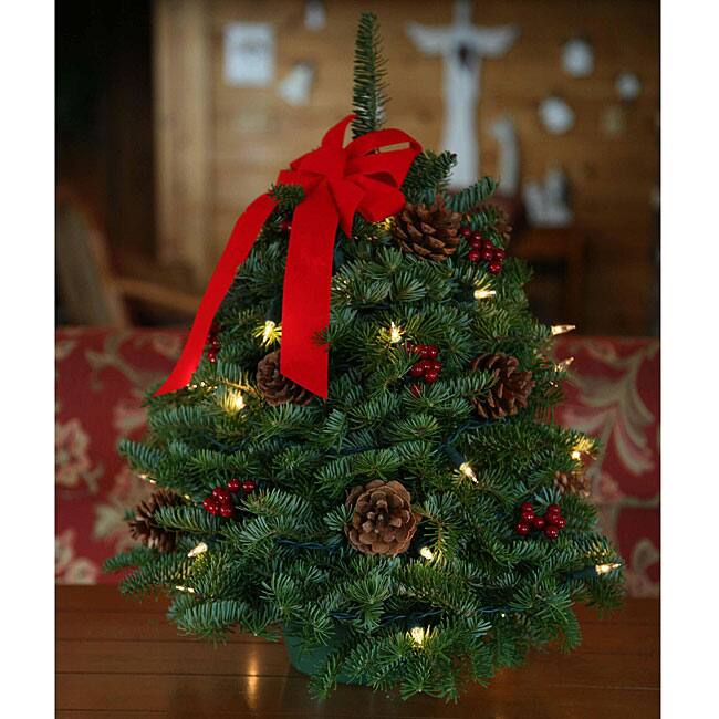 Fresh-cut Classic Pre-lit 18-inch Tabletop Tree
