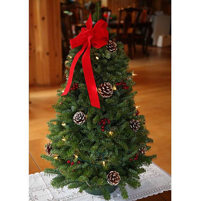 Fresh-cut Classic Pre-lit 28-inch Maine Balsam Tabletop Tree